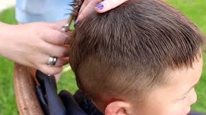 We did not find results for: Ø­Ù„Ø§Ù‚Ø© Ø´Ø¹Ø± Ù„Ù„Ø£ÙˆÙ„Ø§Ø¯ 3 5 Ø³Ù†ÙˆØ§Øª 88 ØµÙˆØ±Ø© Ø§Ø®ØªÙŠØ§Ø± ØªØ³Ø±ÙŠØ­Ø§Øª Ø§Ù„Ø´Ø¹Ø± Ù„Ù„Ø£Ø·ÙØ§Ù„ Ø­Ù„Ø§Ù‚Ø© Ø´Ø¹Ø± Ø§Ù„Ø£Ø·ÙØ§Ù„ Ø§Ù„Ø¹ØµØ±ÙŠØ© Ù„Ù„Ø£Ø·ÙØ§Ù„ Ø§Ù„ØµØºØ§Ø± Ø®ÙŠØ§Ø±Ø§Øª Ø·ÙˆÙŠÙ„Ø© ÙˆÙ‚ØµÙŠØ±Ø©