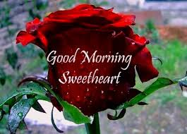 Check spelling or type a new query. á… Top 200 Good Morning Wishes Images Morning Pictures