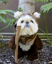 Dogs Celebrate Star Wars Day The Results Are Hilarious Ewok Dog Costume Cute Dogs Cute Animals