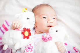 Alex Tin Photography