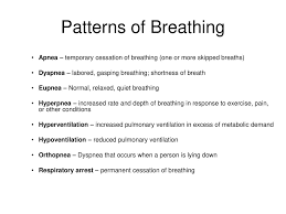 When the respiratory system is mentioned, people generally think of breathing, but respiration is the sequence of events that results in the exchange of oxygen and carbon dioxide between the. Respiratory Physiology Ppt Download