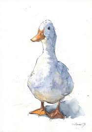 Check out our pen and ink drawings selection for the very best in unique or custom, handmade pieces from our pen & ink shops. Curious White Duck Original Pen Ink Drawing Watercolour Painting A4 Gift Watercolor Duck Birds D Watercolor Drawing Ink Pen Drawings Watercolor Art