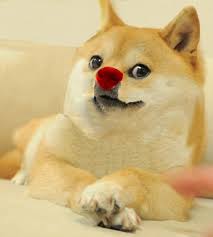 We only accept high quality images, minimum 400x400 pixels. Create Meme Doge Png Doge Dogs Png Pictures Meme Arsenal Com