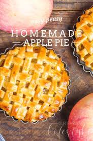 Not Really Homemade Apple Pie Recipe Recipe Apple Pie Recipe Using Canned Apples Apple Pie Apple Pie Recipe Homemade
