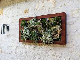 Check spelling or type a new query. Living Walls Vertical Gardens Plant Walls Moss Walls Articulture Designs
