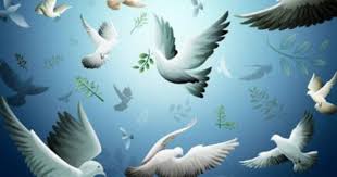 Birds Of A Feather Flock Together Meaning In Tamil Pin By Jane Grey Hope In Paris On Pigeons Bird Wallpaper Free Moving Wallpapers Moving Wallpapers