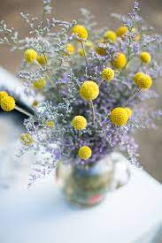 Billy Balls And Lavender Centerpieces Lavender Wedding Flowers Lavender Centerpieces Wedding Table Flowers