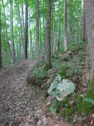 Even though it's near a popular recreation spot, the rough gravel road that leads to this camping area gives. Camp Creek Gateway To West Virginia Wonders Appalachian Voices