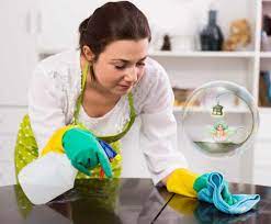 What Should A Cleaning Lady Do? What To Expect From A Professional House  Cleaner — Seattle Green Cleaning Fairy