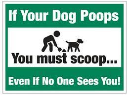 Scoop The Poop It S Your Environmental Doody Pun Intended