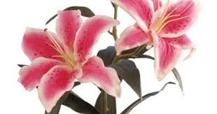 And this article on how to arrange silk flowers like a pro. Real Touch Flowers Luxury Artificial Flowers