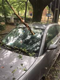 Circa 27 milioni di euro in base alla prima stima dei danni tra grandine in emilia e tromba d'aria in romagna, oltre 287 le. Meteo Modena La Grandine Del 22 Giugno 2019 Meteo Ilrestodelcarlino It