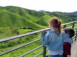Malaysia not only makes a wonderful vacation spot for long holidays but also a great choice of destination for those of you looking to go on a short trip. 12 Of The Best Places To Visit In Malaysia For Family Fun