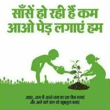 Essay On Trees In Hindi For Class 4 Jobsjankari Com In 2020 Tree Slogan Save Trees Slogans Save Trees