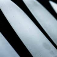 Plus your entire music library on all your devices. The Law On Carrying Chef Knives Nisbets Articles