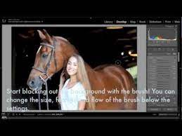 Black Background Tutorial Using Lightroom Horse Photography Lightroom Horse Photos