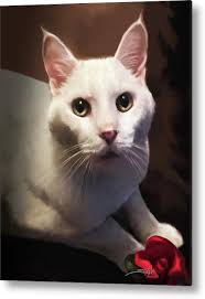 Whiskers and Rose Metal Print by Michael Spano