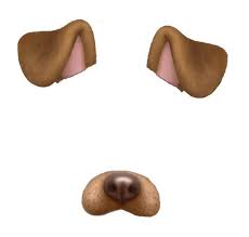 Imagen De Overlay Snapchat And Dog Snapchat Filters Png Dog Filter Snapchat Dog Filter