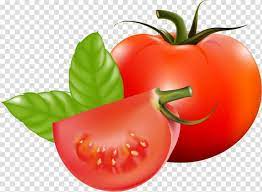 Plum Tomato Cherry Tomato Bush Tomato Vegetable Fruit Tomato Leaf Transparent Background Png Clipart Plum Tomatoes Tomato Vegetable Cherry Tomatoes