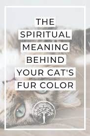 What Your Cat S Fur Color Means In 2021 Cat Spirit Animal Cat Spirit Cat Fur