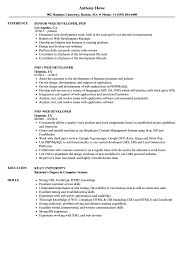 You need to be able to portray your specific capacities and give substantial examples of how you used your skills in your past positions. Php Web Developer Resume Samples Velvet Jobs