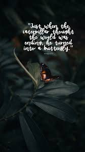 Butterfly Quotes Fabquote Co