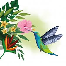 Telechargez Dessin D Oiseaux Exotiques Et De Fleurs Tropicales Gratuitement Dessin Oiseau Peinture Abstraite De Paysage Dessin Couleur