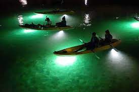 We launch our glass bottom kayaks from a beach under the john's pass village boardwalk. St Pete Beach Led Illuminated Night Tours On Glass Bottom Kayak Marriott