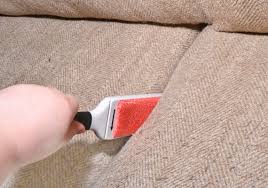 Waiting too long to clean up pet hair can make your home look unclean and make it difficult to get off the couch. 6 Best Pet Hair Removers For A Fur Free Home 23 Tested