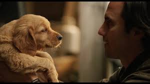 Official Trailer: 'The Art of Racing in the Rain'