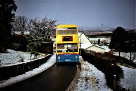 Image result for Yellow 1992 Fleet