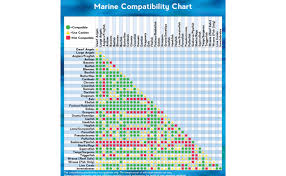 14 Unbiased Safe Fish To Eat Chart