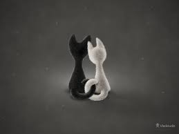 Black And White Cat Pictures To Color Black Cat White Cat Color 2 Vladstudio Free Desktop Wallpapers Widescreen 2 Monitors 3 Monitors Iphone Ipad Wal Cat Colors Cat Background White Cat