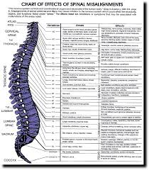 Dr Eric Shook Chiropractor In Newton North Carolina