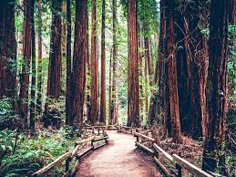 Our national parks host millions of people a year, sustain countless species, and safeguard some of the most breathtaking landscapes on the planet. America S Most Beautiful Natural Landscapes National Parks Travelchannel Com Travel Channel