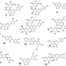 Image result for Rhynchosia elegans