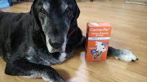 Perfectly safe to use alongside any medications, supplements, or with any special diets; Cbd Dog Treats Canna Pet Review Cbd Oil For Dogs Cats
