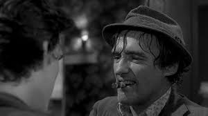 Rumble Fish: Amazon.co.uk: Dillon, Matt, Cage, Nicolas, Rourke, Mickey,  Hopper, Dennis, Lane, Diane, Coppola, Francis Ford: DVD & Blu-ray