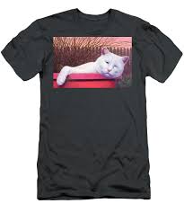 Sleepy Silas T-Shirt by James W Johnson