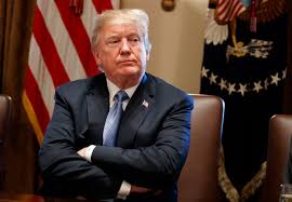 Résultat de recherche d'images pour "Trump meme I am growing stronger"