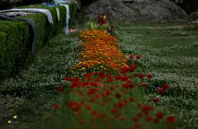 फूलहरु फुलेर सानदार पार्कजस्तो देखिएको छ सिंहदरबार (फोटो फिचर) – देशसञ्चार