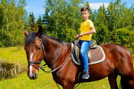 The most common daily horse rental is a commercial trail ride. 3 624 Horse Riding Boy Stock Photos And Images 123rf