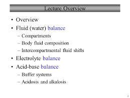 Chapter 26 Fluid Electrolytes And Acid Base Balance