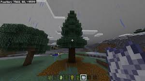 How To Get Dark Oak Sapling To Grow | Tiktok