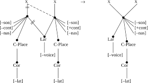 We did not find results for: The Phonology Of Classical Latin Cser 2020 Transactions Of The Philological Society Wiley Online Library