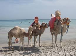 Seven days devil wisdom canning drinks notebooks kiss camel a kiss. Holidays On The Island Of Djerba Tunisia Everything You Need To Know