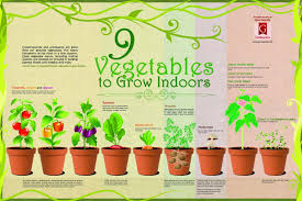 Maybe you would like to learn more about one of these? Pin On Gardening Veggies