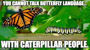 Pin By Kelli Jones On Positive Butterfly Life Cycle Caterpillar Butterfly