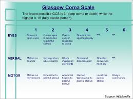 Pediatric Assessment