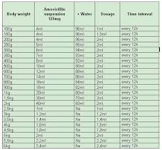 Netbre Animals Antibiotics And Their Application On Cats